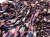 IMG_6464.jpeg