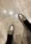 IMG_2653.jpeg