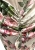 IMG_3993.jpeg