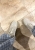 IMG_8736.jpeg