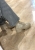 IMG_8733.jpeg