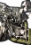 IMG_6006.jpeg