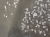 IMG_3307.jpeg