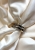 IMG_4915.jpeg