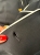 IMG_5708.jpeg