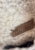 IMG_2400.jpeg