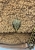 IMG_2752.jpeg