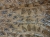 IMG_3848.jpeg