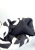 IMG_8660.jpeg