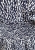 IMG_1258.jpeg
