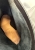 IMG_1396.jpeg