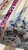 IMG_1952.jpeg