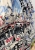 IMG_1949.jpeg