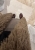 IMG_2094.jpeg