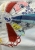 IMG_2966.jpeg