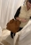 IMG_3298.jpeg