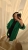 IMG_3958.jpeg