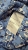 IMG_7003.jpeg