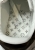 IMG_7446.jpeg