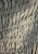 IMG_1602.jpeg
