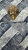 IMG_2947-Photoroom.jpeg