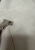 IMG_3158.jpeg