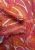 IMG_3879.jpeg