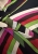 IMG_6113.jpeg