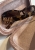 IMG_6195.jpeg