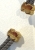 IMG_6638.jpeg