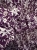 IMG_7535.jpeg