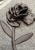 IMG_8482.jpeg
