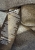 IMG_8485.jpeg
