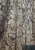 IMG_0459.jpeg