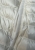 IMG_1720.jpeg