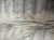 IMG_1721.jpeg