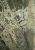 IMG_2559.jpeg