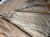 IMG_2705.jpeg